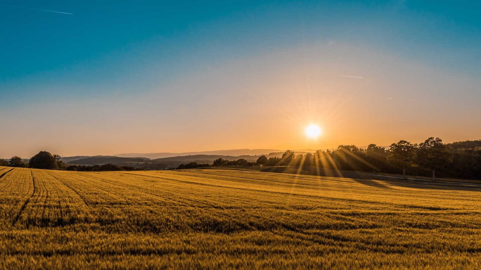 Campo agrícola ao entardecer